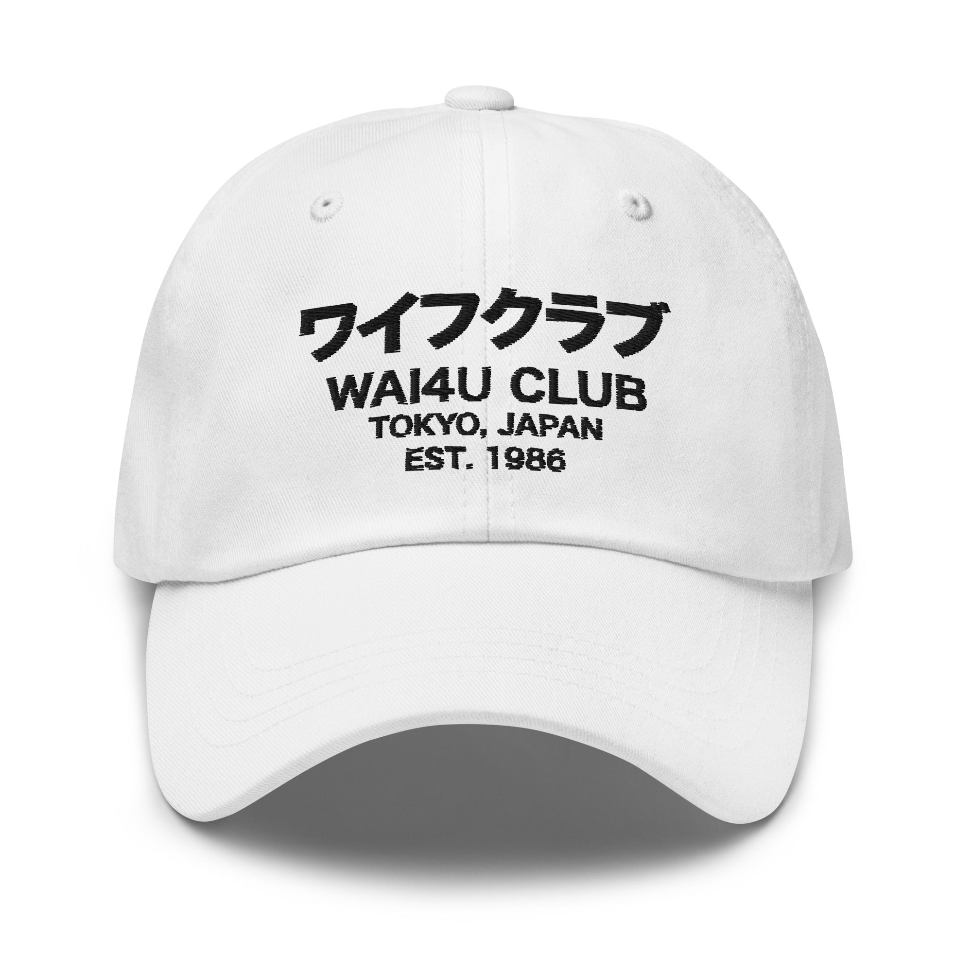 Duster — Duster Cat Dad Hat – Numero Group